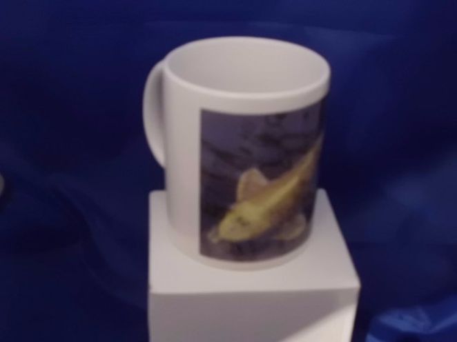 Koi Carp personalised mug