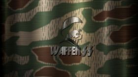 Why Waffen ss Camo Mug